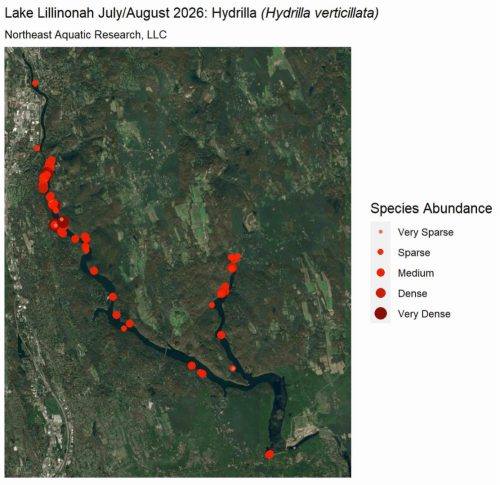 lillinonah-hydrilla-treatment-july-august-2026
